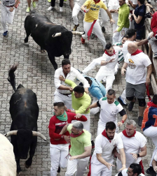 Imágenes del segundo encierro de los sanfermines 2019 protagonizado por toros de Cebada Gago.