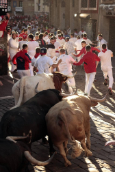 Imágenes del sexto encierro de los sanfermines 2019 protagonizado por toros de Núñez del Cuvillo.