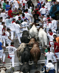 Imágenes del sexto encierro de los sanfermines 2019 protagonizado por toros de Núñez del Cuvillo.