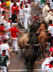 Imágenes del sexto encierro de los sanfermines 2019 protagonizado por toros de Núñez del Cuvillo.