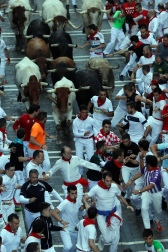 Imágenes del sexto encierro de los sanfermines 2019 protagonizado por toros de Núñez del Cuvillo.