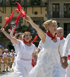 Tras el cohete que dio comienzo a las fiestas de la Virgen del Puy, los vecinos de Estella se reunieron en la plaza de los Fueros para el tradicional baile de La Era a cargo de la asociación de exdanzaris de Estella Francisco Beruete, donde se rindió homenaje a Francisco Beruete Calleja.