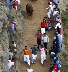 Todas las fotos del encierro del día 11 de agosto de del Pilón de Falces, una carrera que duró dos minutos y 15 segundos.