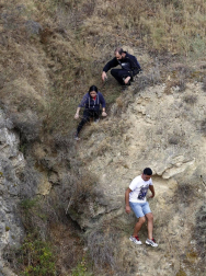 Todas las fotos del encierro del día 11 de agosto de del Pilón de Falces, una carrera que duró dos minutos y 15 segundos.