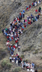 Todas las fotos del encierro del día 11 de agosto de del Pilón de Falces, una carrera que duró dos minutos y 15 segundos.