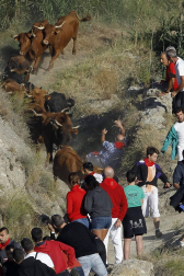 Todas las fotos del encierro del día 14 de agosto de del Pilón de Falces.