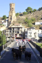 Fotos del primer encierro del puente de fiestas de Peralta y de la charanga 'Las Tetas'