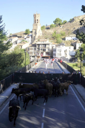 Fotos del primer encierro del puente de fiestas de Peralta y de la charanga 'Las Tetas'