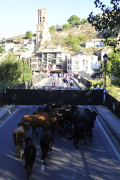 Fotos del primer encierro del puente de fiestas de Peralta y de la charanga 'Las Tetas'