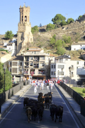 Fotos del primer encierro del puente de fiestas de Peralta y de la charanga 'Las Tetas'