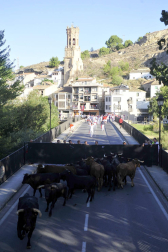Fotos del primer encierro del puente de fiestas de Peralta y de la charanga 'Las Tetas'