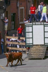 Fotos de las fiestas de Lodosa del día de 13 septiembre.