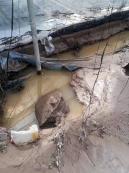 Inundaciones en Murcia, Alicante, Valencia y Granada