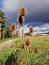 Fotos del otoño, retratado por los lectores de Diariodenavarra.es.