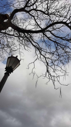 Fotos del otoño, retratado por los lectores de Diariodenavarra.es.