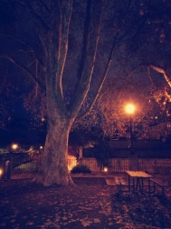 Fotos del otoño, retratado por los lectores de Diariodenavarra.es.