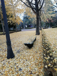 Fotos del otoño, retratado por los lectores de Diariodenavarra.es.