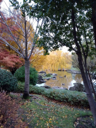 Fotos del otoño, retratado por los lectores de Diariodenavarra.es.
