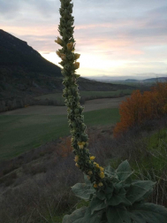 Fotos del otoño, retratado por los lectores de Diariodenavarra.es.