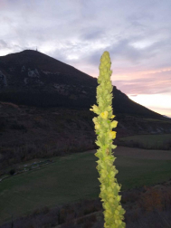 Fotos del otoño, retratado por los lectores de Diariodenavarra.es.