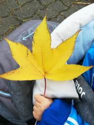 Fotos del otoño, retratado por los lectores de Diariodenavarra.es.
