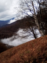 Fotos del otoño, retratado por los lectores de Diariodenavarra.es.