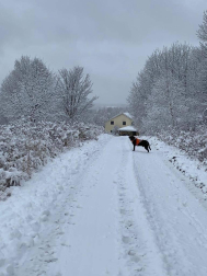 Fotos del otoño, retratado por los lectores de Diariodenavarra.es.