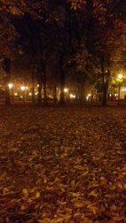 Fotos del otoño, retratado por los lectores de Diariodenavarra.es.