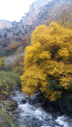Fotos del otoño, retratado por los lectores de Diariodenavarra.es.