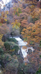Fotos del otoño, retratado por los lectores de Diariodenavarra.es.