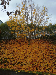 Fotos del otoño, retratado por los lectores de Diariodenavarra.es.