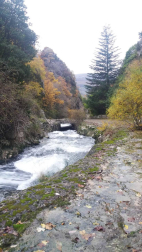 Fotos del otoño, retratado por los lectores de Diariodenavarra.es.