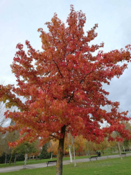 Fotos del otoño, retratado por los lectores de Diariodenavarra.es.