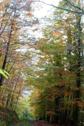 Fotos del otoño, retratado por los lectores de Diariodenavarra.es.