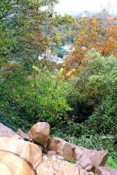Fotos del otoño, retratado por los lectores de Diariodenavarra.es.