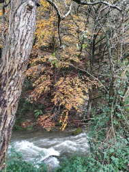 Fotos del otoño, retratado por los lectores de Diariodenavarra.es.