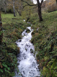 Fotos del otoño, retratado por los lectores de Diariodenavarra.es.