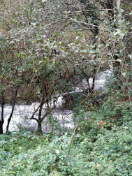 Fotos del otoño, retratado por los lectores de Diariodenavarra.es.