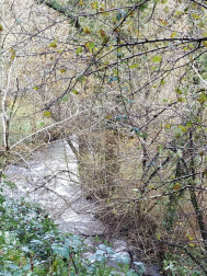 Fotos del otoño, retratado por los lectores de Diariodenavarra.es.
