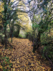 Fotos del otoño, retratado por los lectores de Diariodenavarra.es.