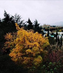 Fotos del otoño, retratado por los lectores de Diariodenavarra.es.