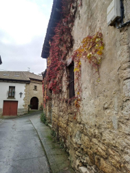 Fotos del otoño, retratado por los lectores de Diariodenavarra.es.