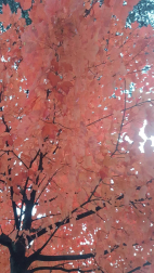 Fotos del otoño, retratado por los lectores de Diariodenavarra.es.