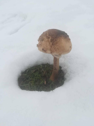 Fotos del otoño, retratado por los lectores de Diariodenavarra.es.