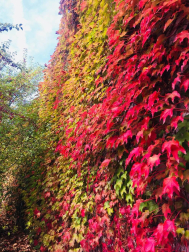 Fotos del otoño, retratado por los lectores de Diariodenavarra.es.