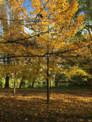Fotos del otoño, retratado por los lectores de Diariodenavarra.es.