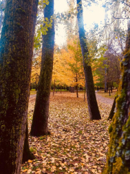 Fotos del otoño, retratado por los lectores de Diariodenavarra.es.