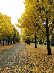 Fotos del otoño, retratado por los lectores de Diariodenavarra.es.