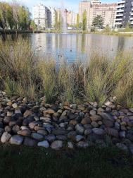 Fotos del otoño, retratado por los lectores de Diariodenavarra.es.