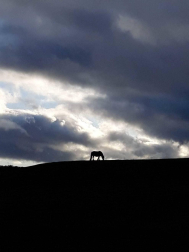 Fotos del otoño, retratado por los lectores de Diariodenavarra.es.